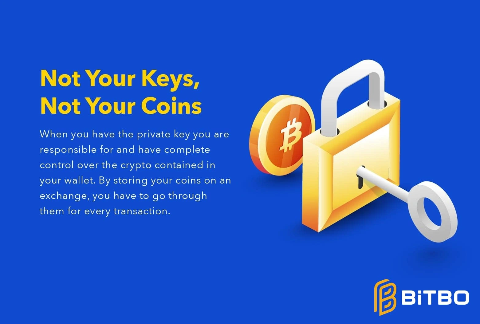 what is the significance of not your keys not your coins?