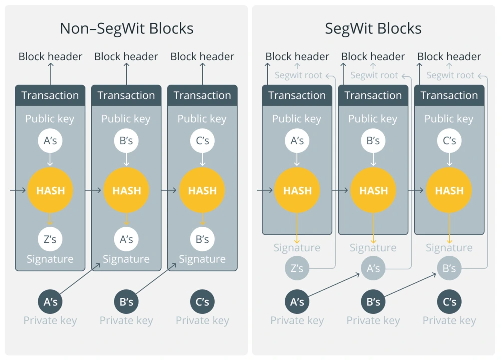 segwit explanation explained